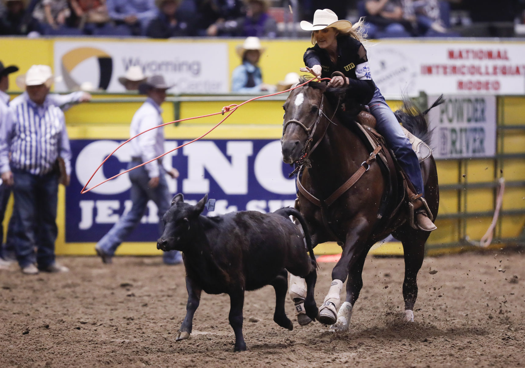 CNFR - Tuesday